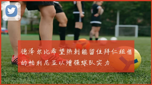 德泽尔比希望热刺能留住拜仁租借的帕利尼亚以增强球队实力